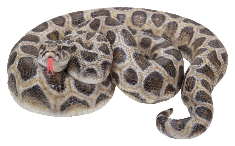 Curled Up Python Statue HI-LINE GIFT LTD.
