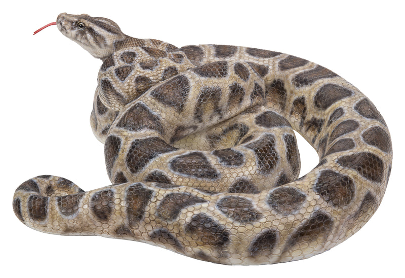 Curled Up Python Statue HI-LINE GIFT LTD.