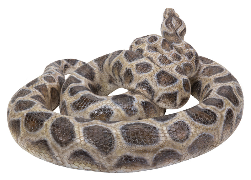 Curled Up Python Statue HI-LINE GIFT LTD.