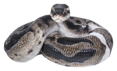 Python Statue HI-LINE GIFT LTD.