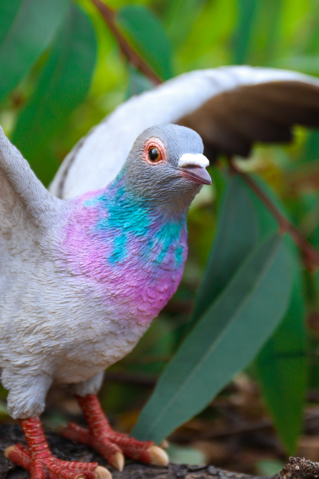 pigeon1181さま✨ Zentrygon Quail-Doves (Genus Zentrygon) · iNaturalist