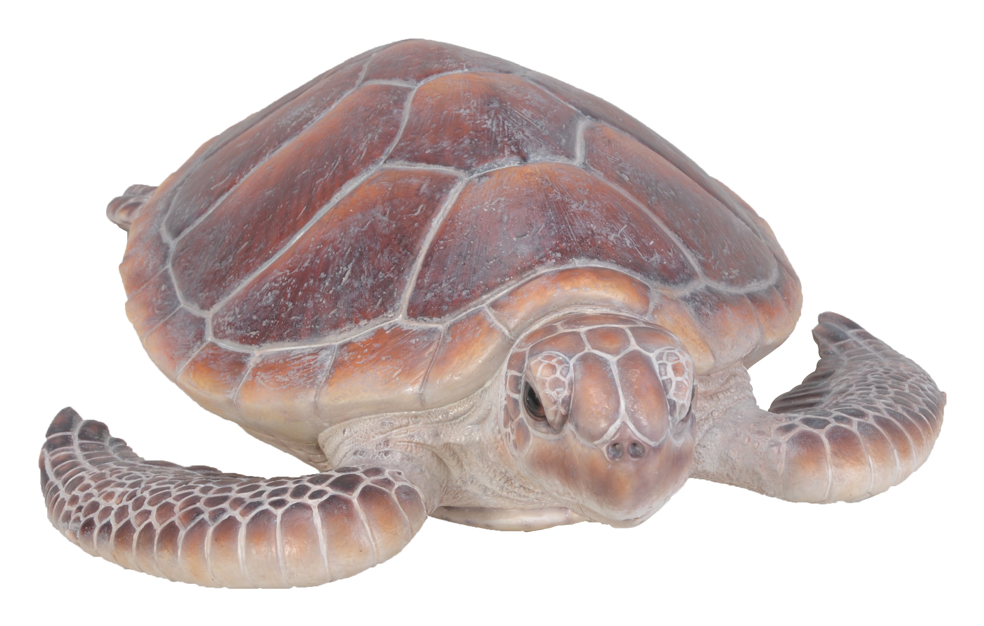 Large Sea Turtle Resin Statue for Coastal Decor – Hi-Line Gift Ltd.