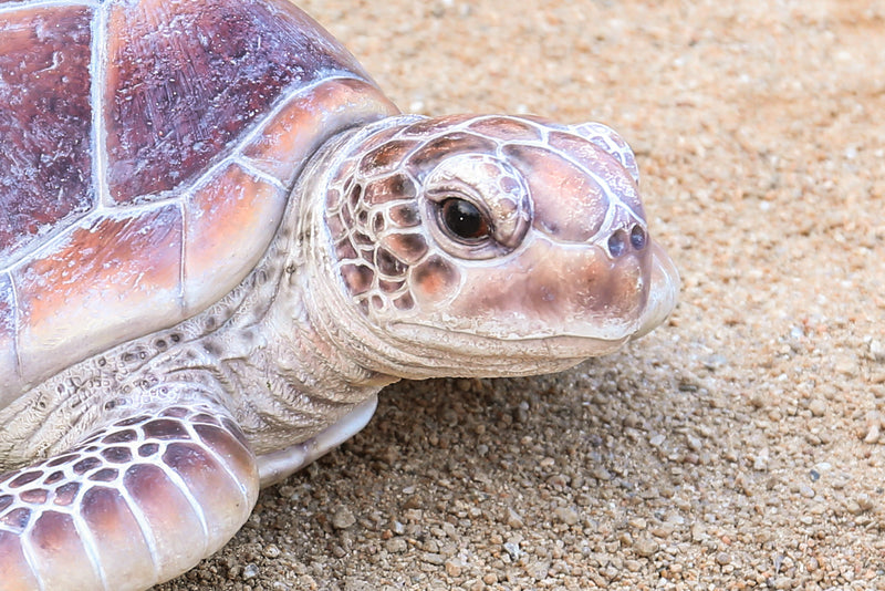 Large Sea Turtle Hi-Line Gift Ltd.