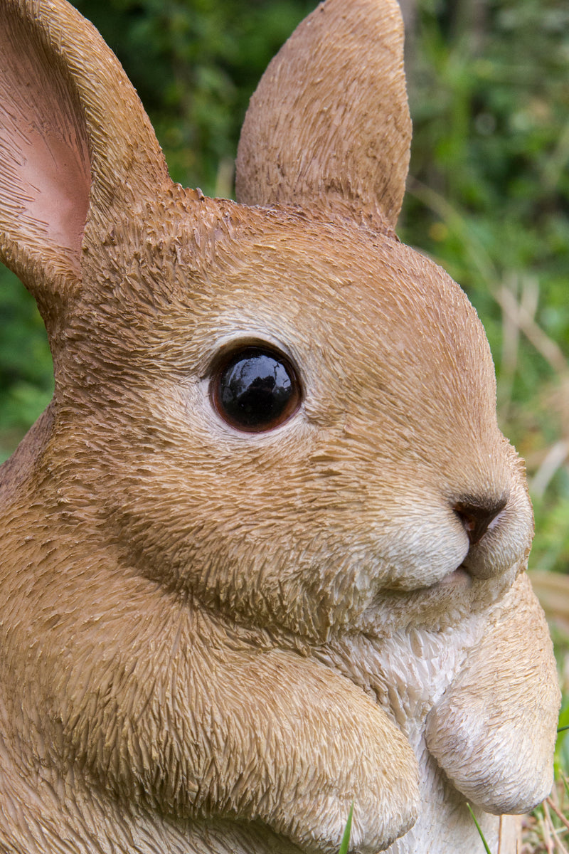 Rabbit Chubby Standing Statue HI-LINE GIFT LTD.