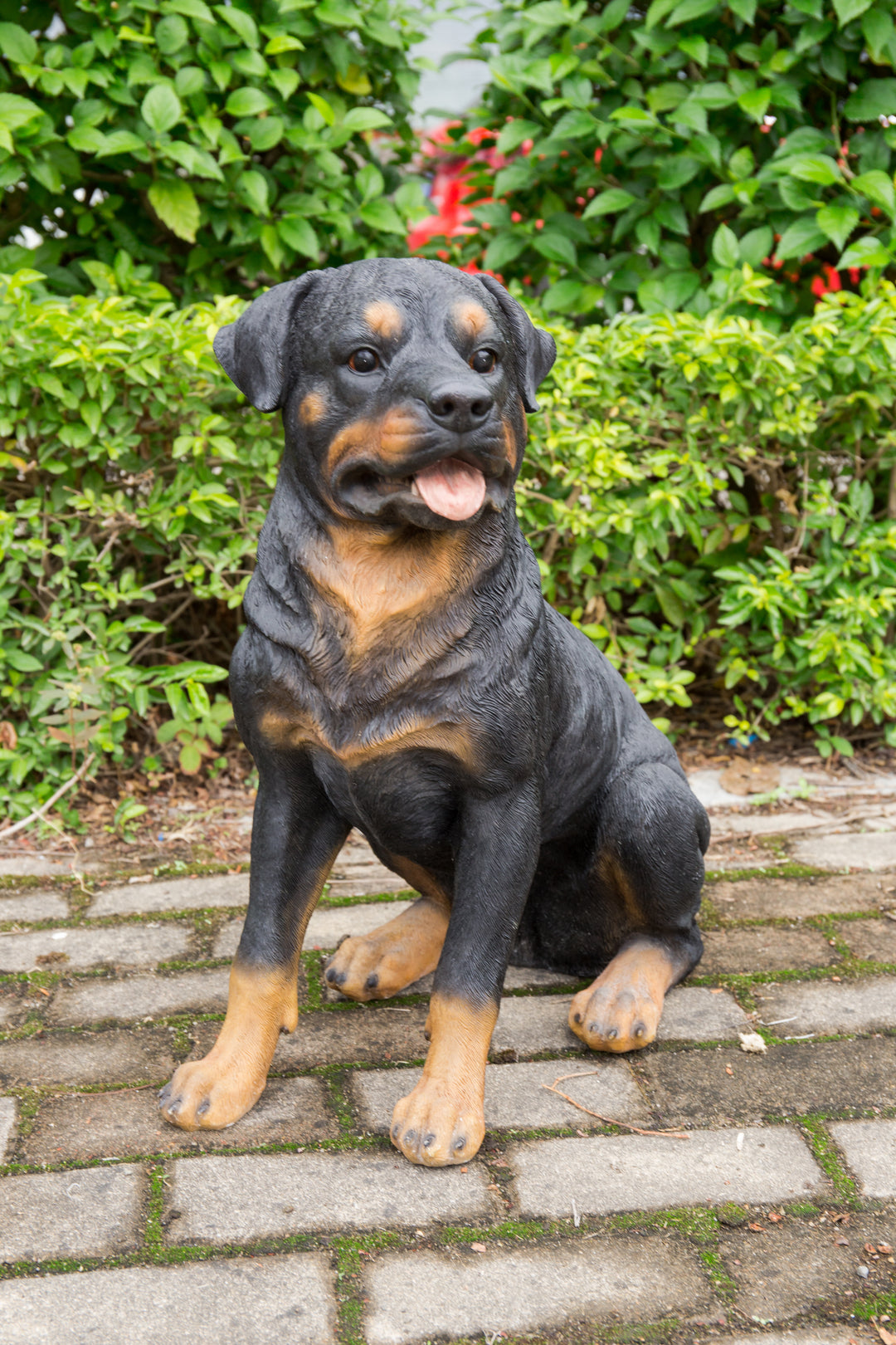 Rottweiler Sitting Statue - Home Decor - Hi-Line Gift Ltd.