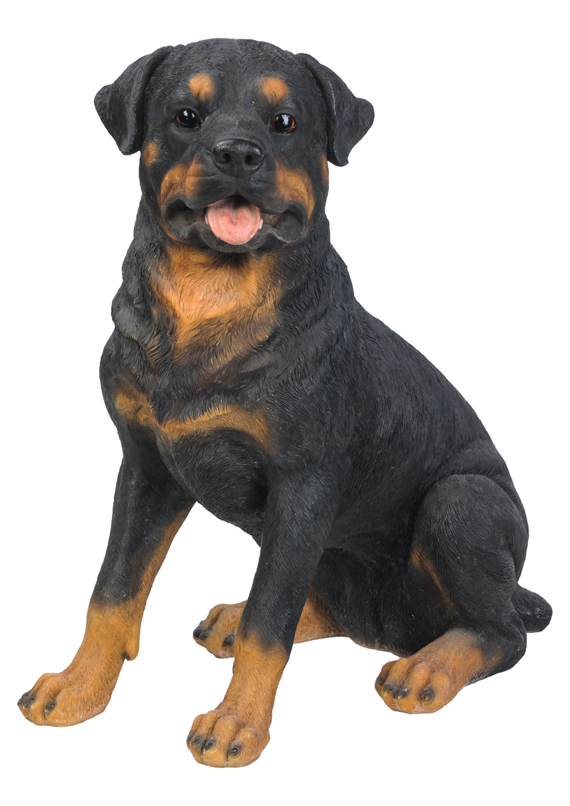 Rottweiler Sitting Statue HI-LINE GIFT LTD.