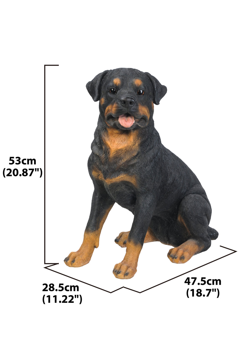 Rottweiler Sitting Statue HI-LINE GIFT LTD.