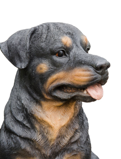 Rottweiler Sitting Statue HI-LINE GIFT LTD.
