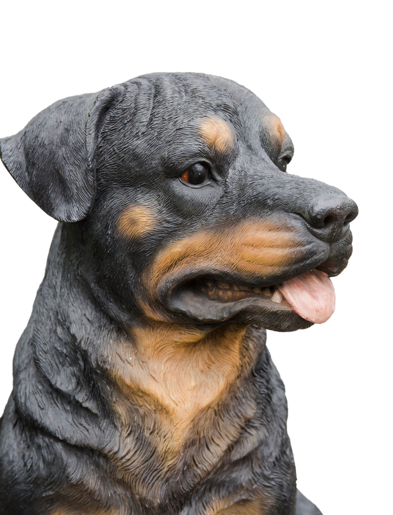 Rottweiler Sitting Statue HI-LINE GIFT LTD.