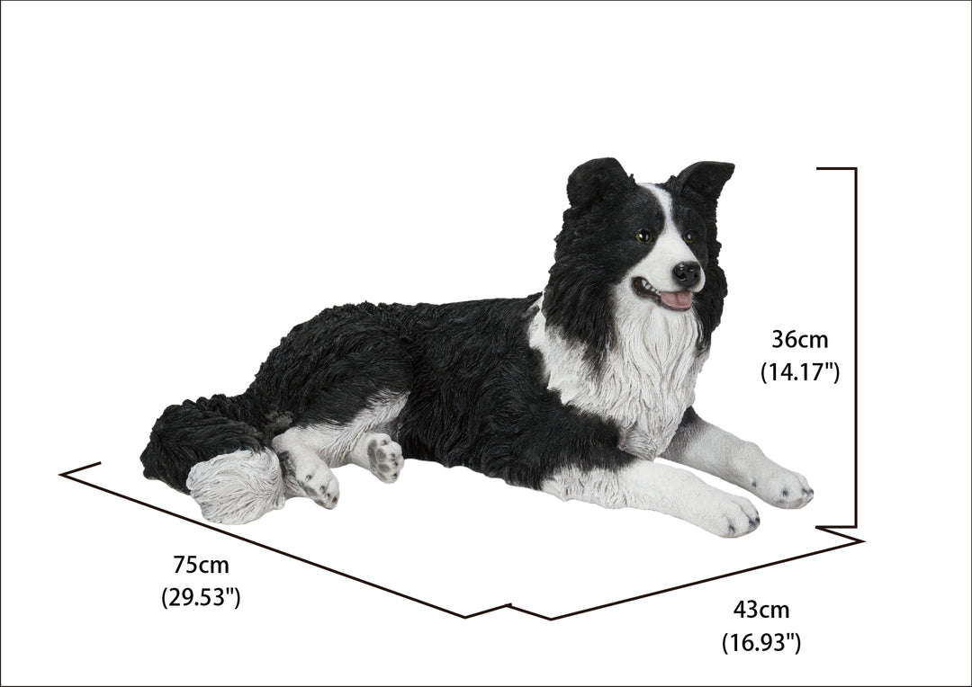 Personality Traits Border Collie Full Size Lying Border Collie Pet