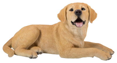 Labrador Retriever Lying Down - Yellow Statue HI-LINE GIFT LTD.