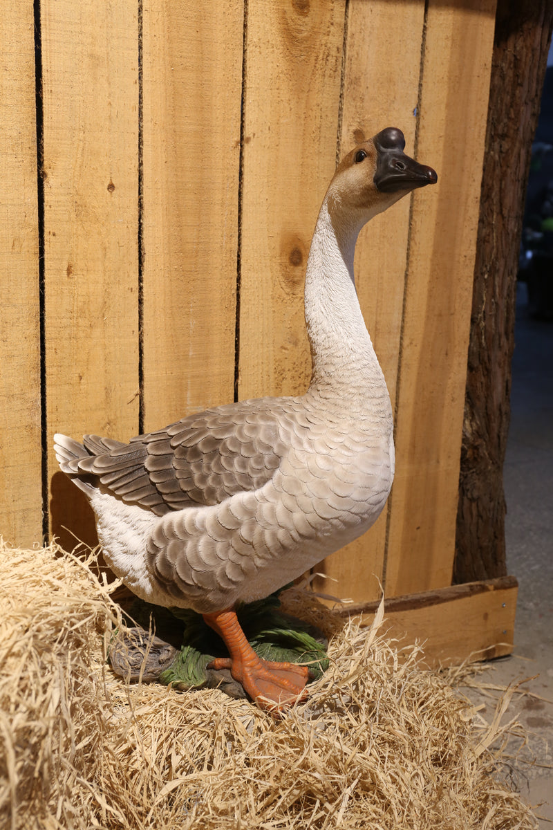 Canadian Goose  Brown Hi-Line Gift Ltd.