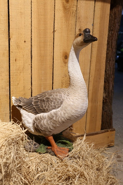 Canadian Goose  Brown Hi-Line Gift Ltd.