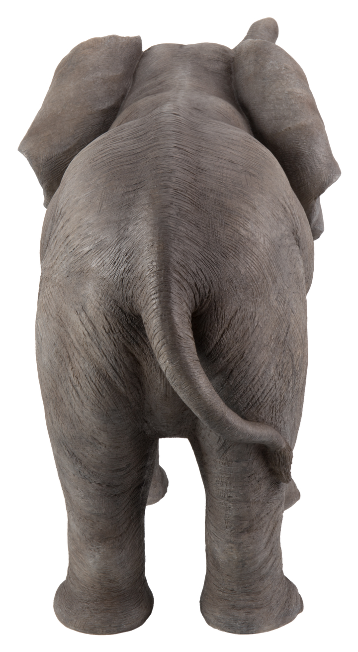 ●BLUE ELEPHANT●大人気 ★DUSTIN 送料関税込み Untitled__69932.1451416983.png?c=2