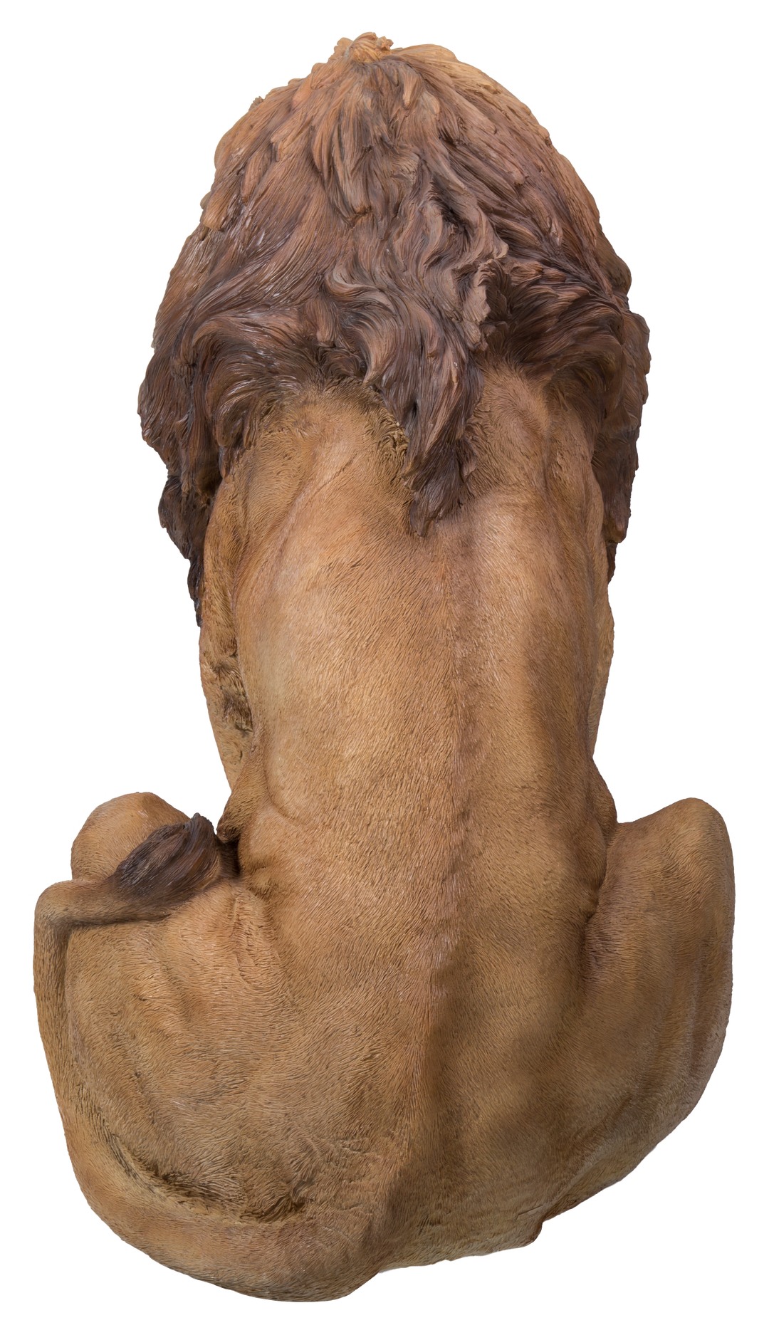 Lion Roaring – Hi-Line Gift Ltd.