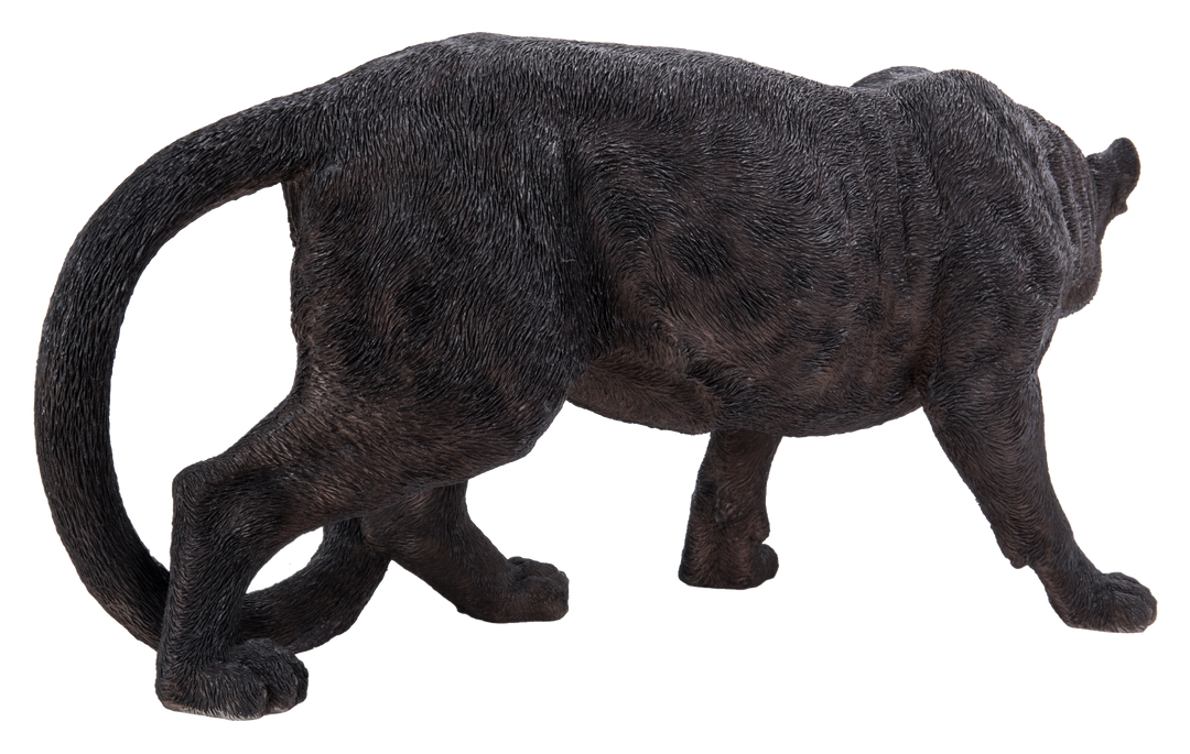 ALLIGATOR 特注品 STANDING 165 BLACK PANTHER 61fYely3VzL._UF350,350_QL50_.jpg