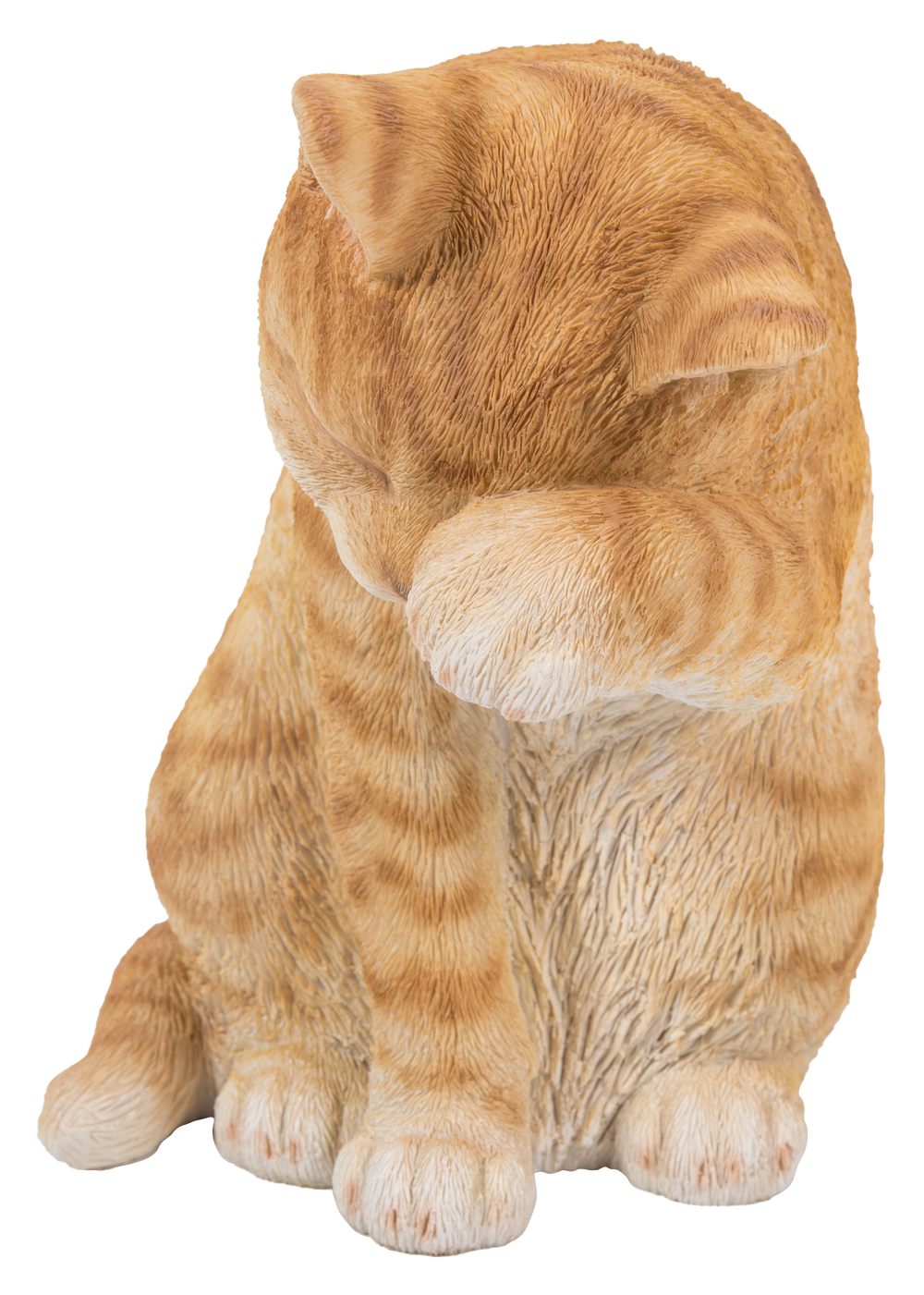 Orange Tabby Cat American Shorthair Washing Hi-Line Gift Ltd.