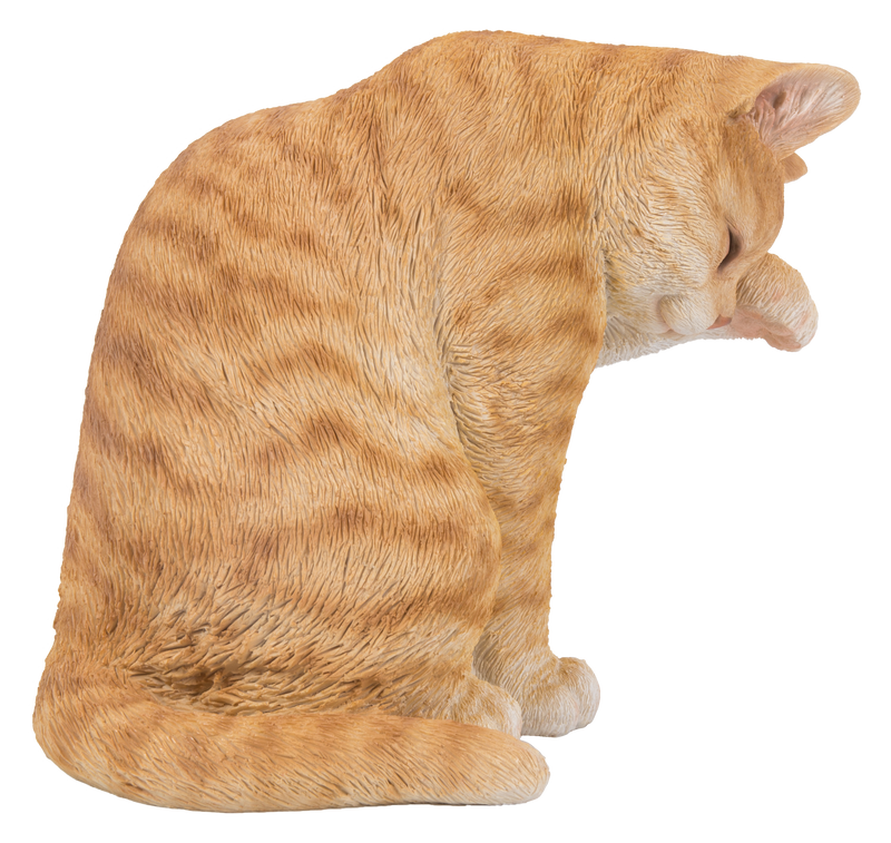 Orange Tabby Cat American Shorthair Washing Hi-Line Gift Ltd.