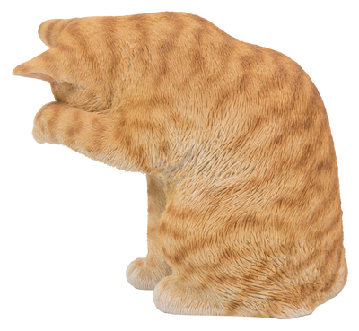 Orange Tabby Cat American Shorthair Washing Hi-Line Gift Ltd.