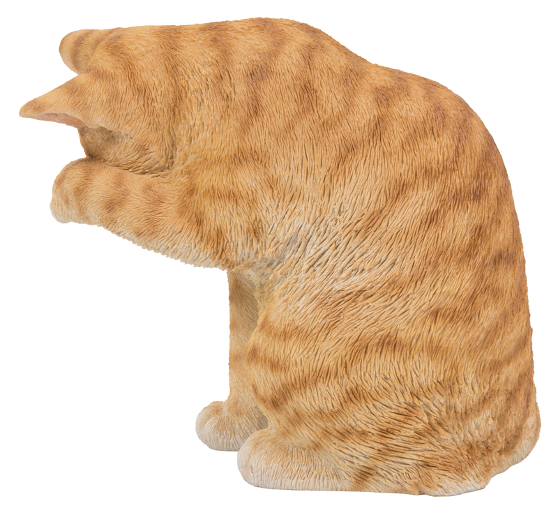 Orange Tabby Cat American Shorthair Washing Hi-Line Gift Ltd.