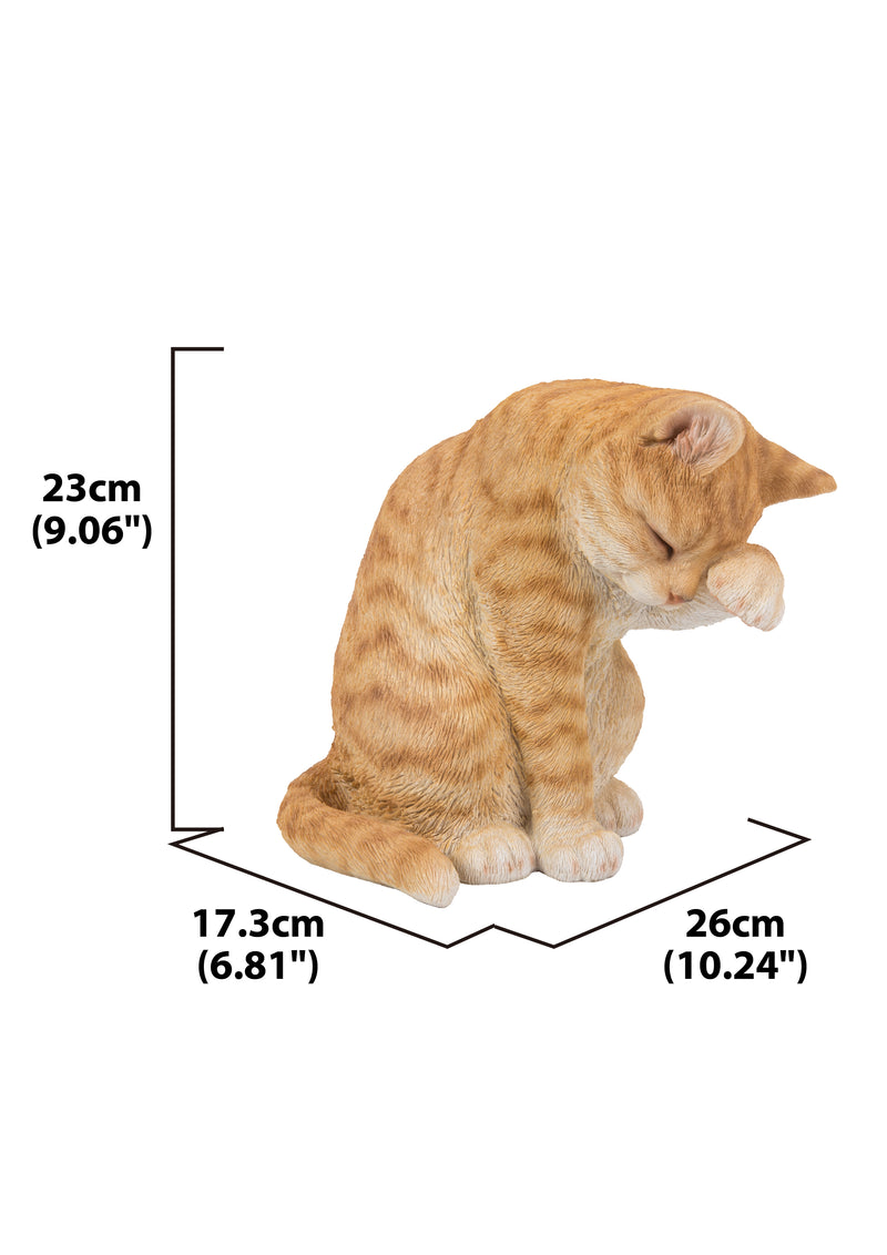 Orange Tabby Cat American Shorthair Washing Hi-Line Gift Ltd.