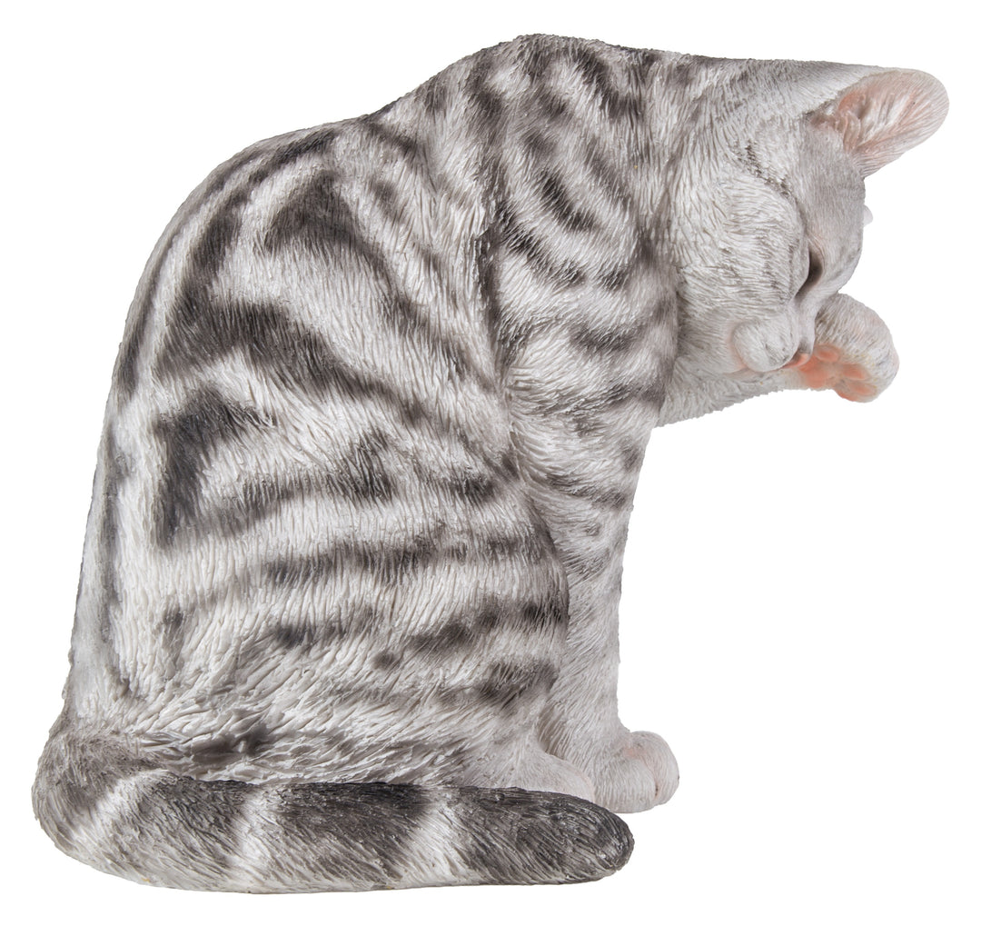Grey Tabby Cat American Shorthair Washing Hi-Line Gift Ltd.