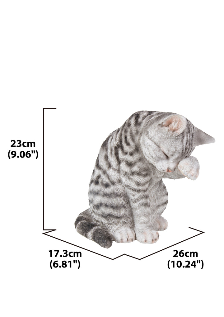 Grey Tabby Cat American Shorthair Washing Hi-Line Gift Ltd.