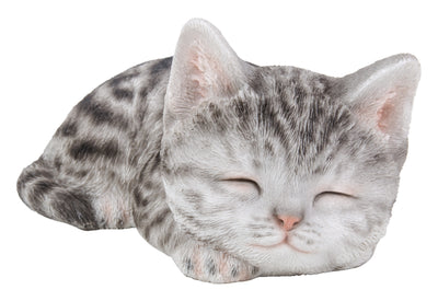 Grey Tabby Kitten Sleeping HI-LINE GIFT LTD.