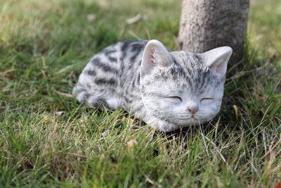Grey Tabby Kitten Sleeping HI-LINE GIFT LTD.