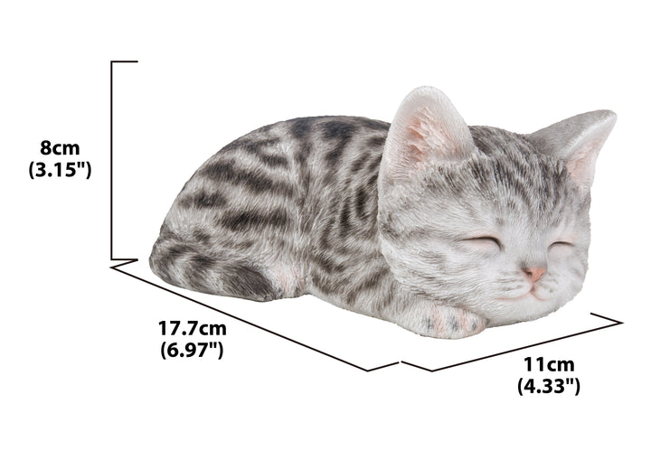 Grey Tabby Kitten Sleeping HI-LINE GIFT LTD.