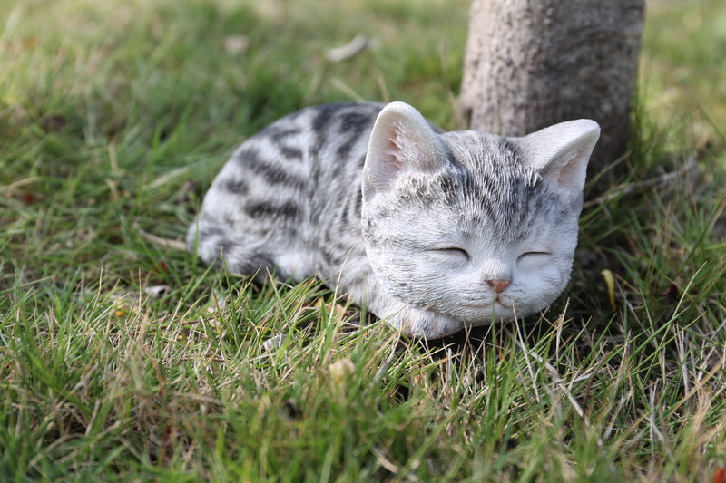 Grey Tabby Kitten Sleeping HI-LINE GIFT LTD.