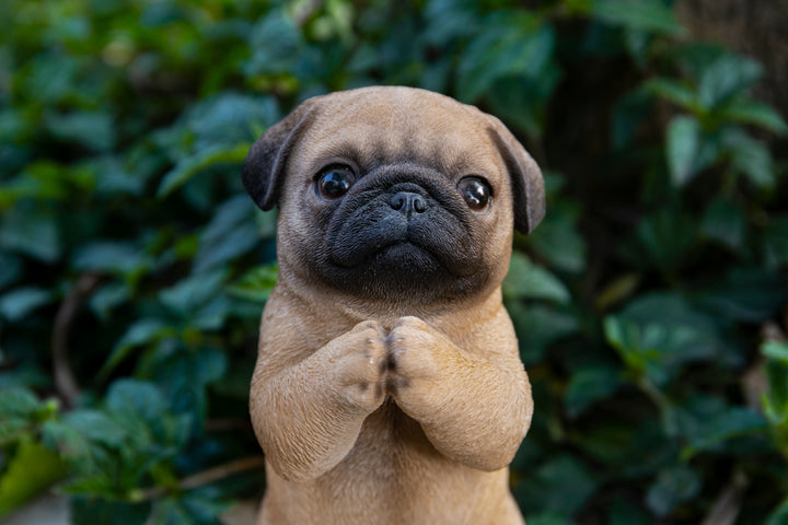 Praying Pug Puppy Statue HI-LINE GIFT LTD.