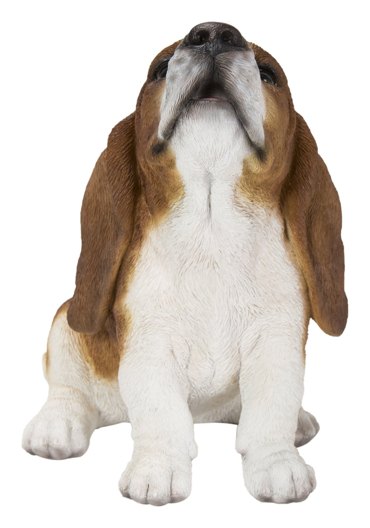 HOUND DOG/HOUND DOG 35th ANNIVERSARY「OU… s-l400.jpg