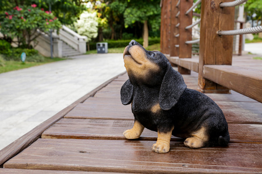 Hi-Line Exclusive - Howling Dachshund Puppy Statue HI-LINE GIFT LTD.