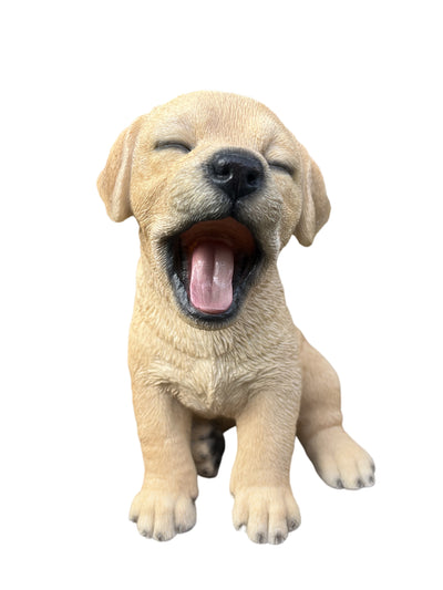 87703-T - Yawning Labrador (Hi-Line Exclusive) Hi-Line Gift Ltd.