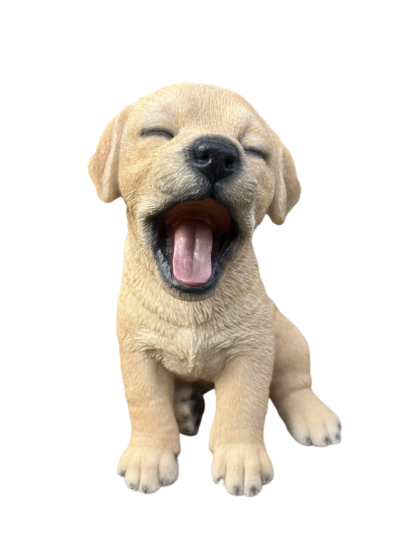 87703-T - Yawning Labrador (Hi-Line Exclusive) Hi-Line Gift Ltd.