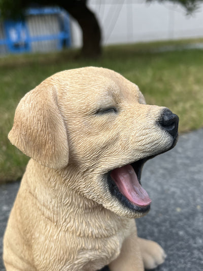 87703-T - Yawning Labrador (Hi-Line Exclusive) Hi-Line Gift Ltd.