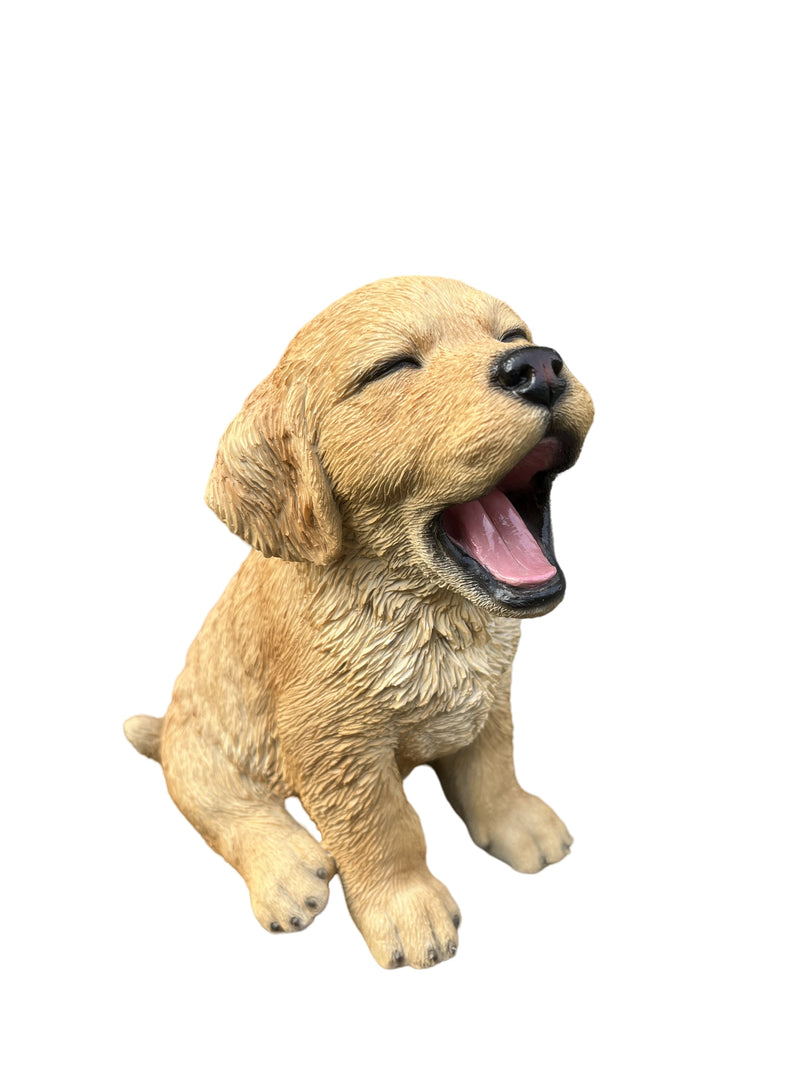 87703-U - Yawning Golden Retriever (Hi-Line Exclusive) Hi-Line Gift Ltd.