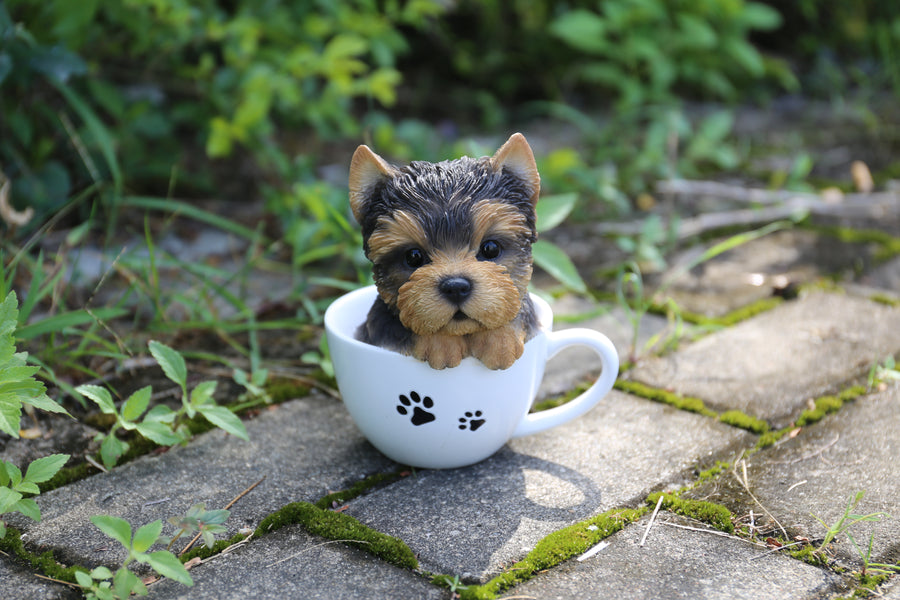 Pet Pals-Teacup Yorkshire Terrier Puppy Statue HI-LINE GIFT LTD.