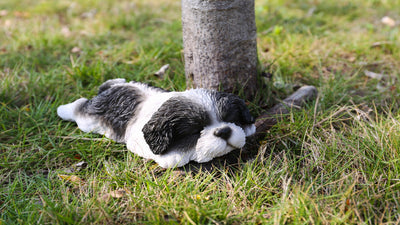 Black/White Shih Tzu Puppy Sleeping Hi-Line Gift Ltd.