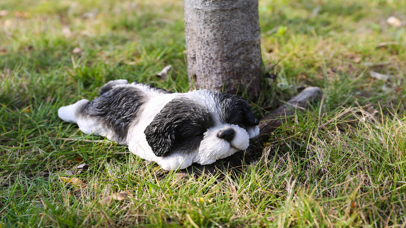 Black/White Shih Tzu Puppy Sleeping Hi-Line Gift Ltd.