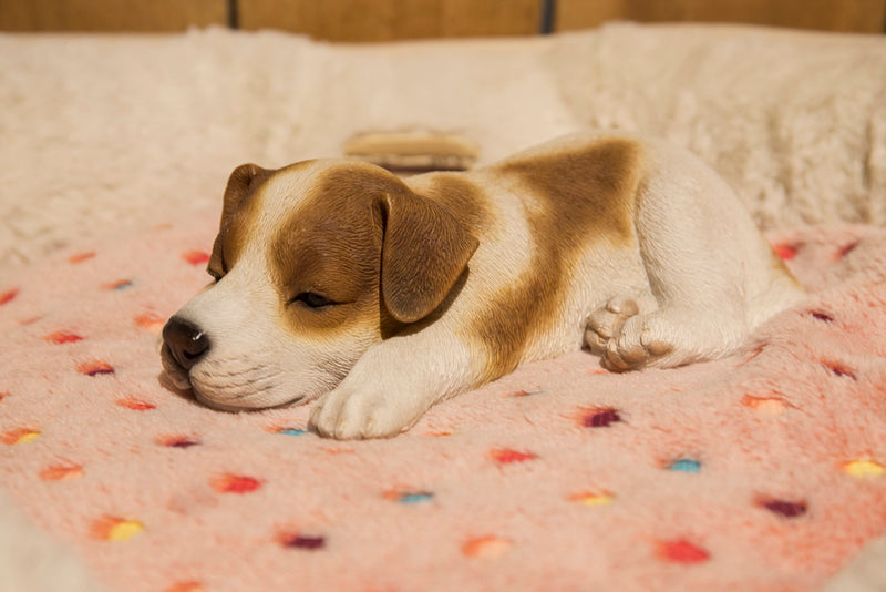 Pet Pals - Jack Russel Puppy Sleeping Statue HI-LINE GIFT LTD.
