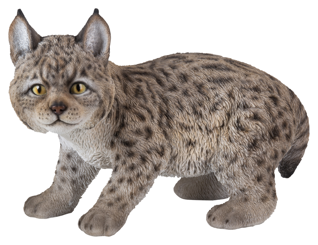 Lynx Kitten Hi-Line Gift Ltd.