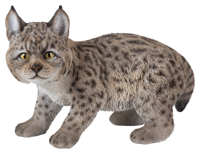 Lynx Kitten Hi-Line Gift Ltd.