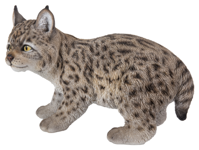 Lynx Kitten Hi-Line Gift Ltd.