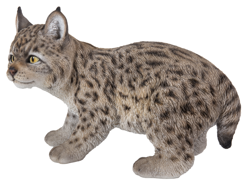 Lynx Kitten Hi-Line Gift Ltd.