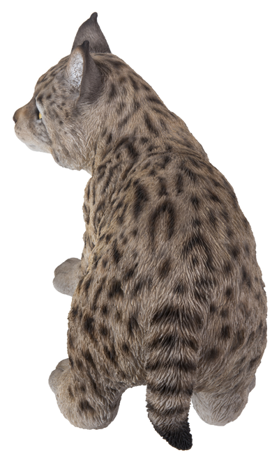 Lynx Kitten Hi-Line Gift Ltd.