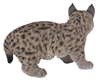 Lynx Kitten Hi-Line Gift Ltd.