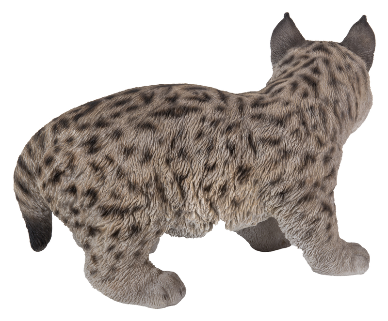 Lynx Kitten Hi-Line Gift Ltd.