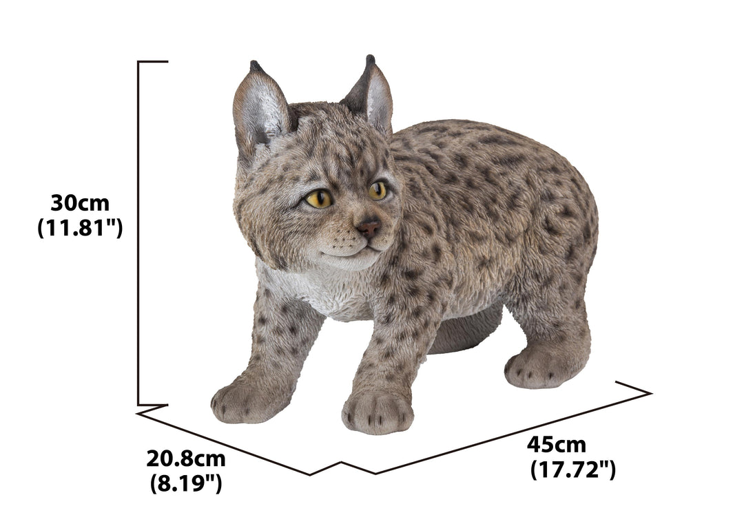 Lynx Kitten – Hi-Line Gift Ltd.